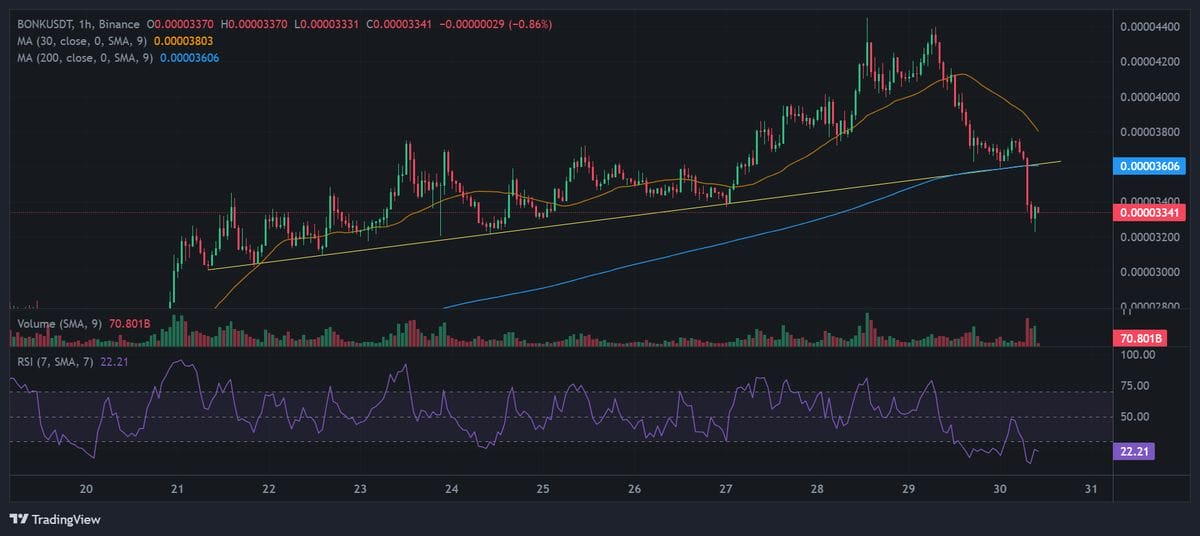 BONK price chart with technical analysis. Source: Binance.