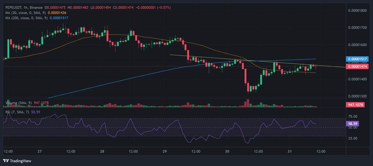 PEPE price chart with technical analysis. Source: Binance.