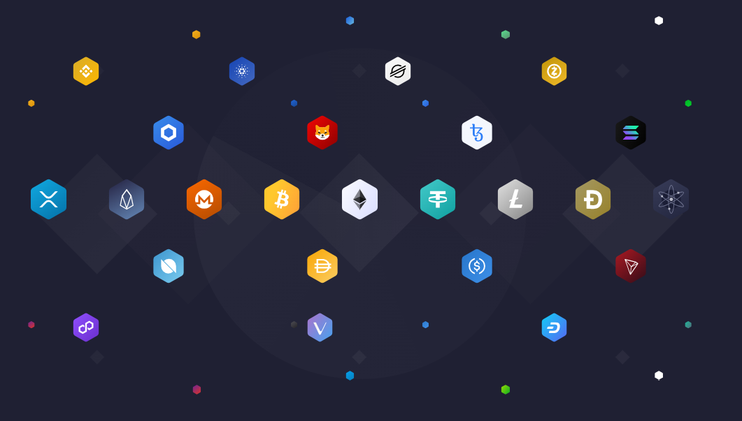 exodus supported networks