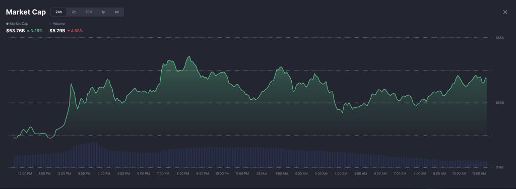 meme coins rise by 3.2% in the past 24 hours