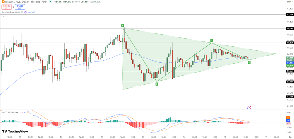 Bitcoin fiyat grafiği.