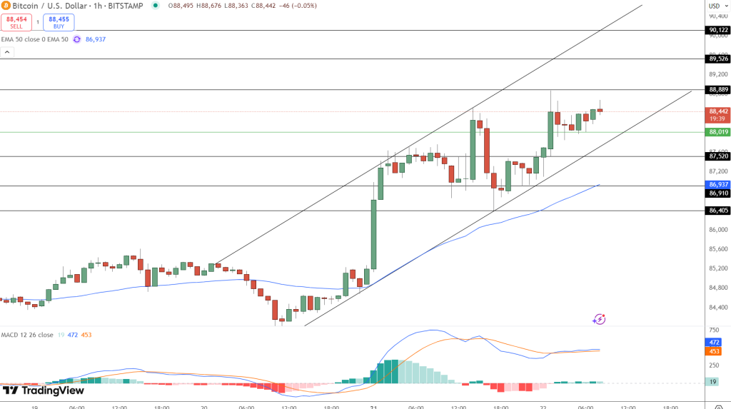 Bitcoin fiyat grafiği.