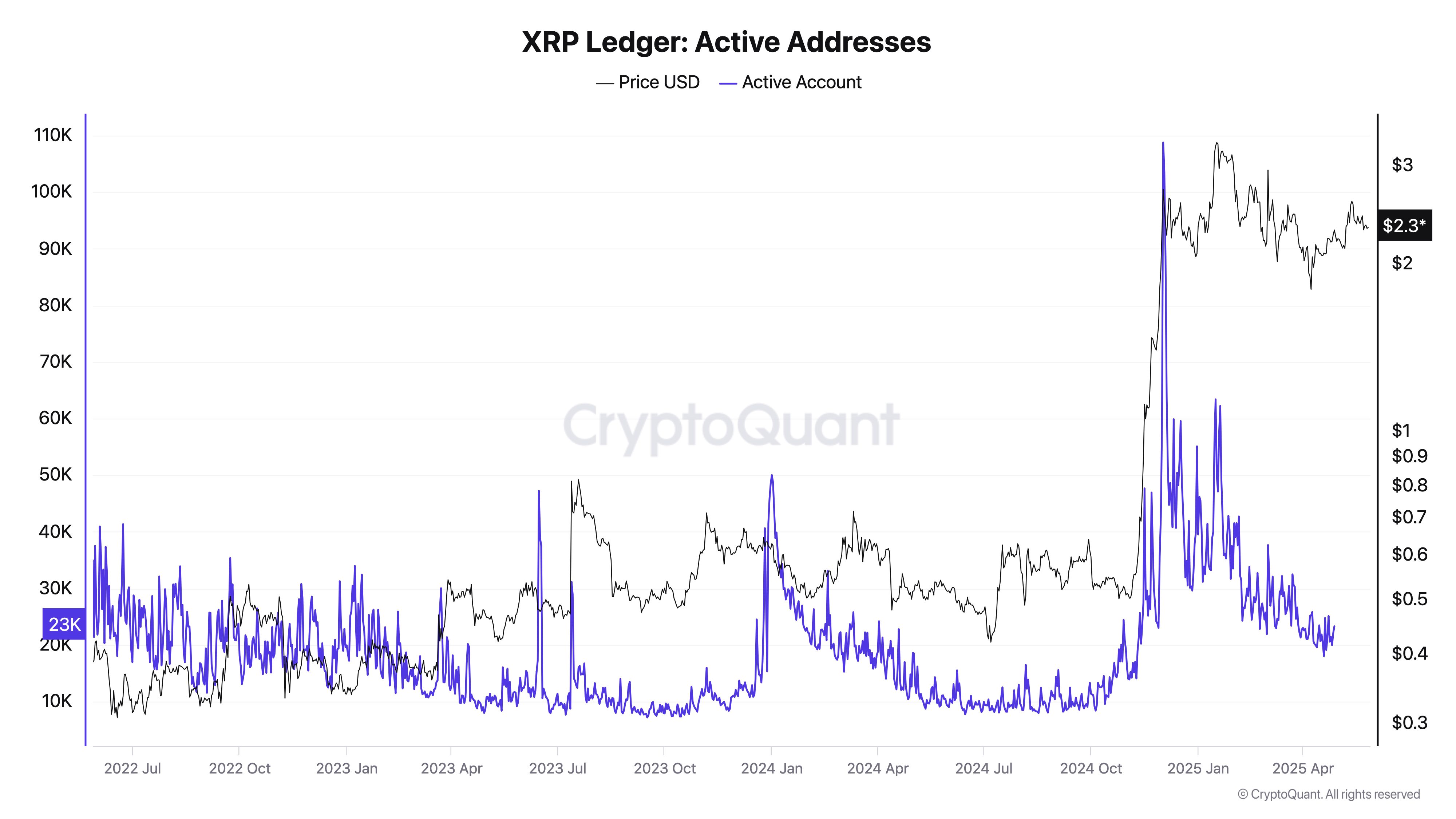 XRP active addresses.