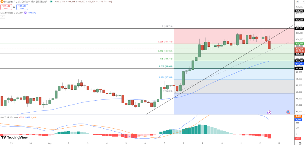 Bitcoin hintaennuste kaavio 13.5.2025