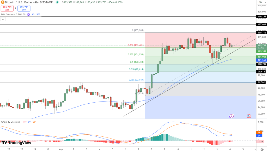 Bitcoin fiyat grafiği