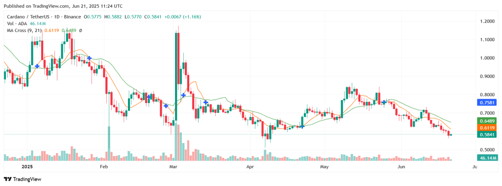 cardano fiyat grafiği