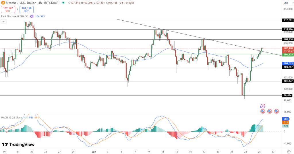 Bitcoin fiyat grafiği
