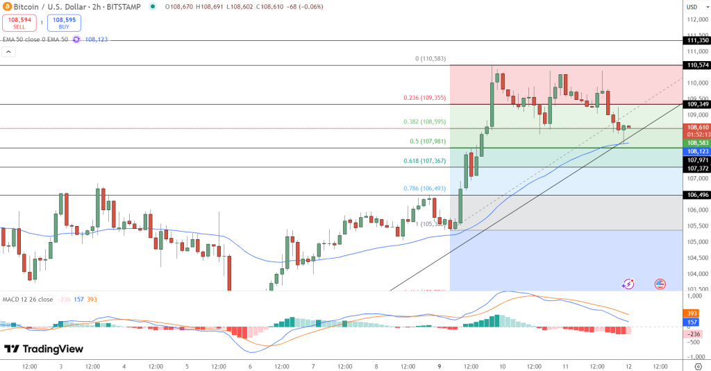 비트코인 가격 차트