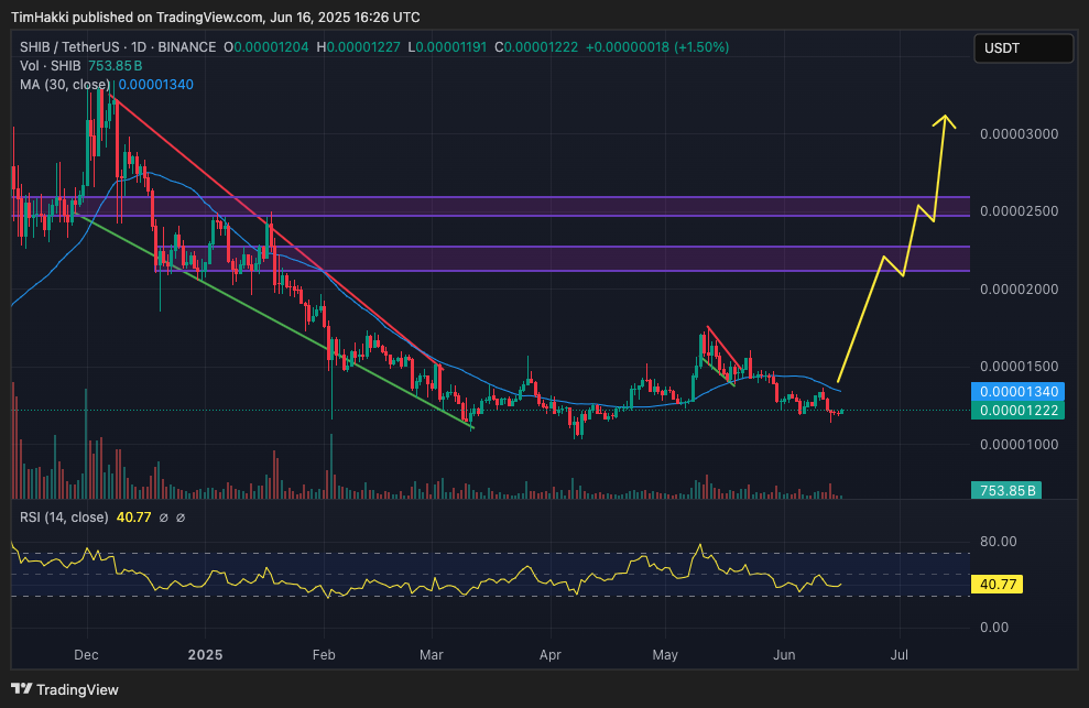 مخطط بياني لتحركات سعر عملة SHIB