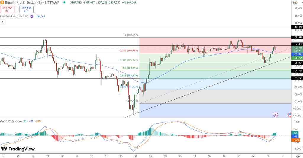 Bitcoin fiyat grafiği
