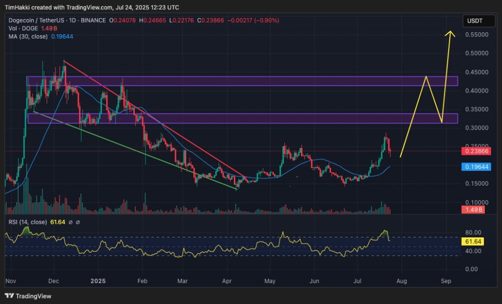 dogecoin fiyat grafiği