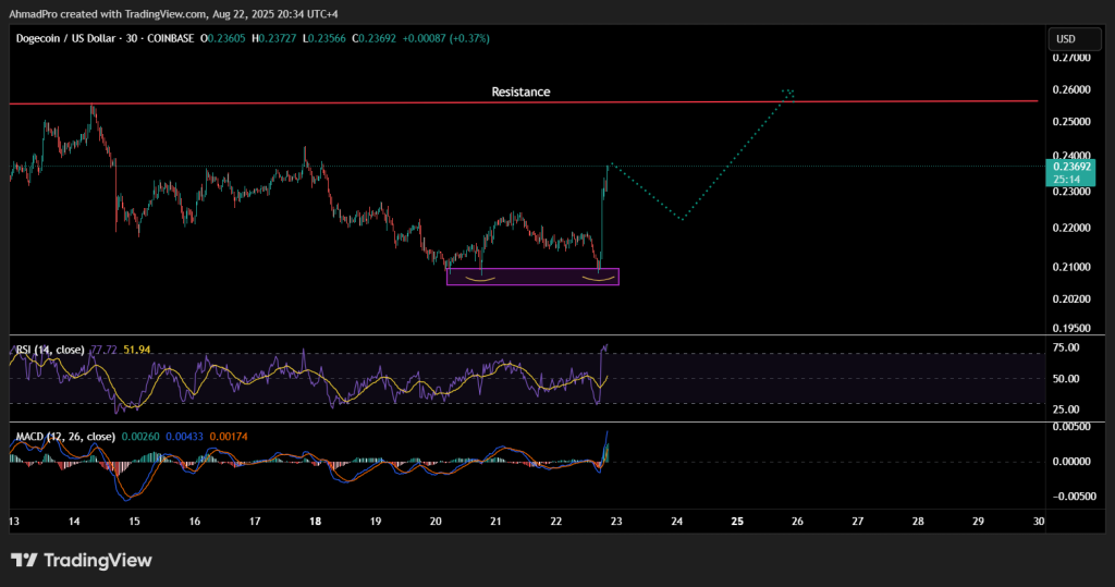 مخطط بياني لسعر زوج DOGE/USD
