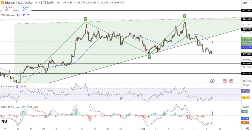 bitcoin fiyat grafiği