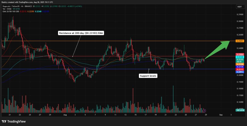 مخطط بياني لسعر الزوج DOGE/USDT