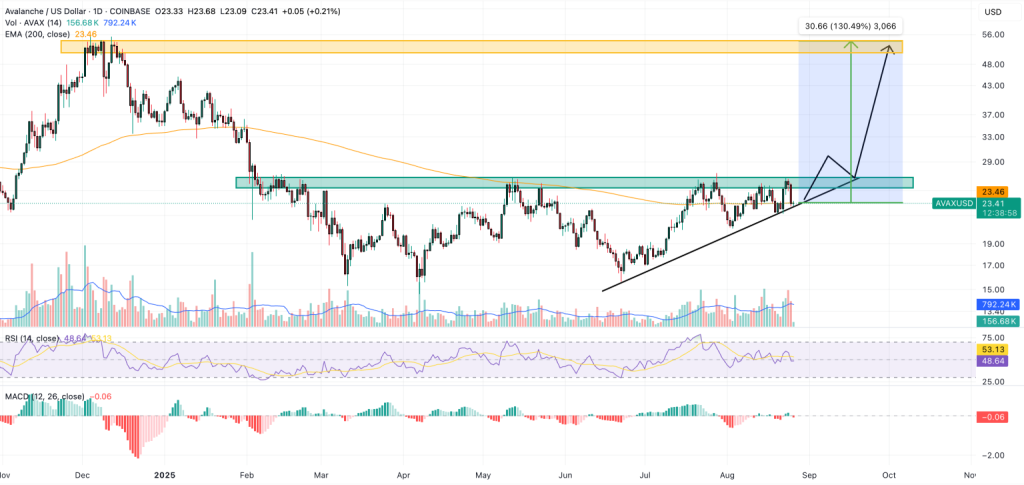 Avalanche kurssiennuste kaavio