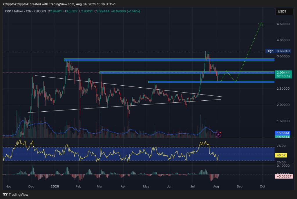 엑스알피 시세 차트
