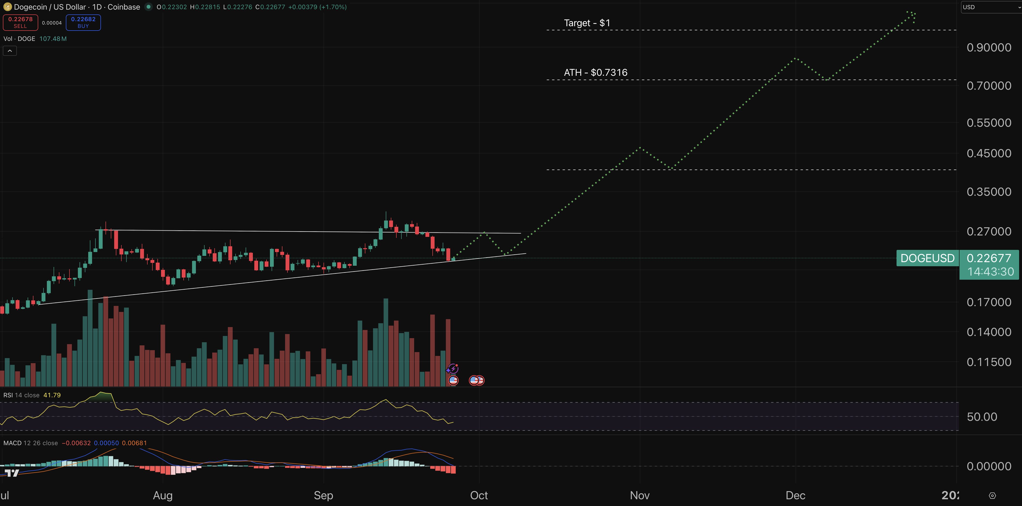 dogecoin fiyat grafiği