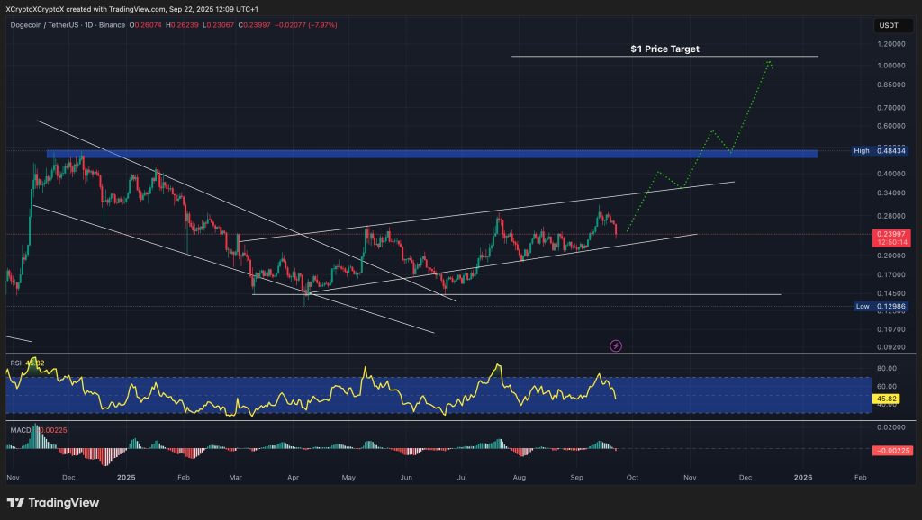 Dogecoin fiyat grafiği