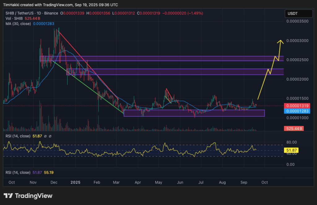 shiba inu fiyat grafiği