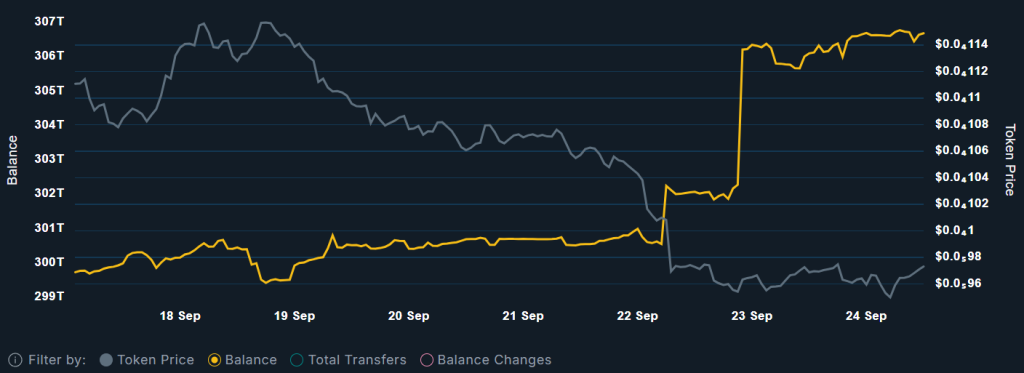 en büyük 100 pepe cüzdanı