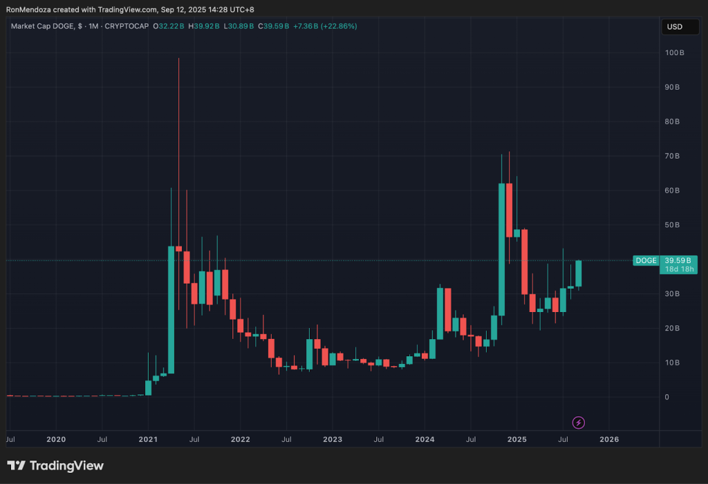 도지코인 시총 차트