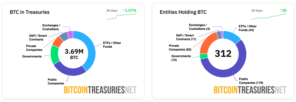Bitcoin omistukset kaavio