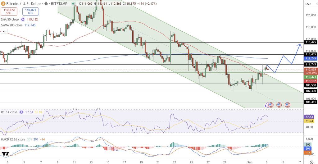 bitcoin fiyat grafiği