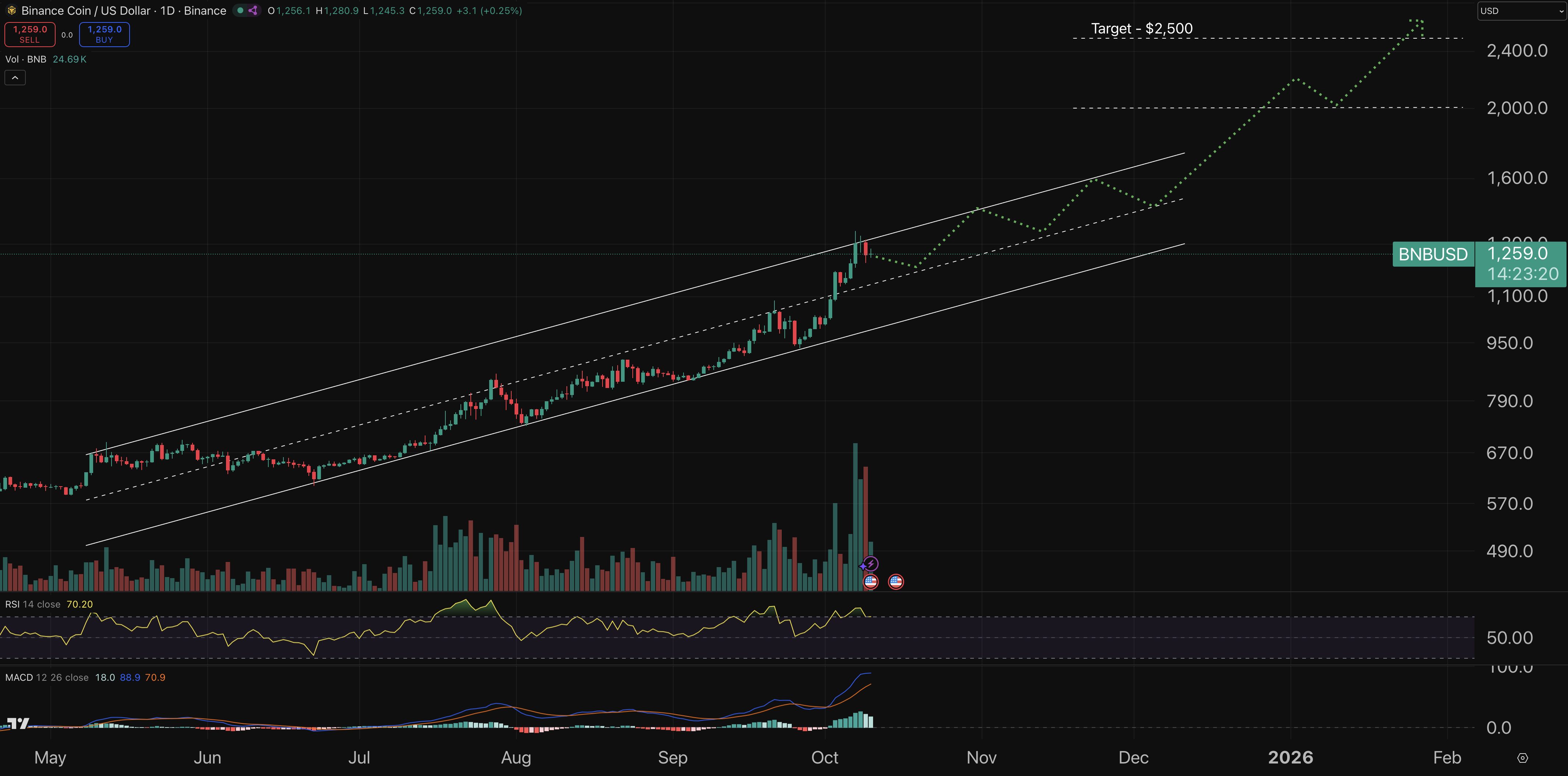 bnb coin fiyat grafiği