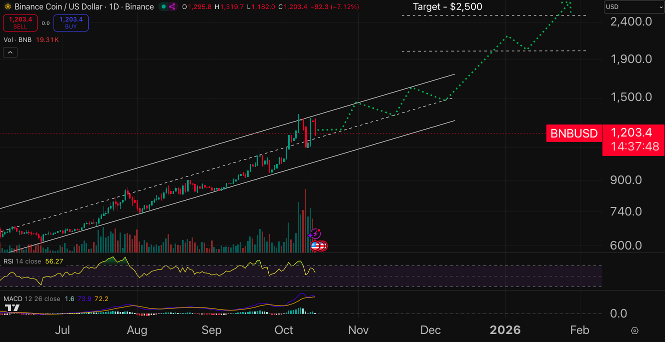 مخطط بياني لتحركات سعر زوج BNB/USD وآفاقه المحتملة