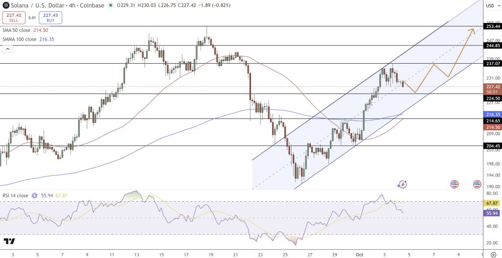 مخطط بياني لسعر عملة سولانا في إطار الـ 4 ساعات