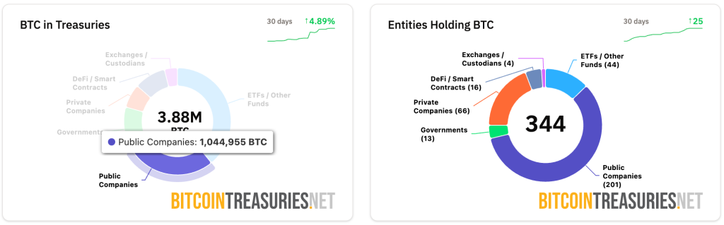 kurumsal yatırımcıların bitcoin varlıkları