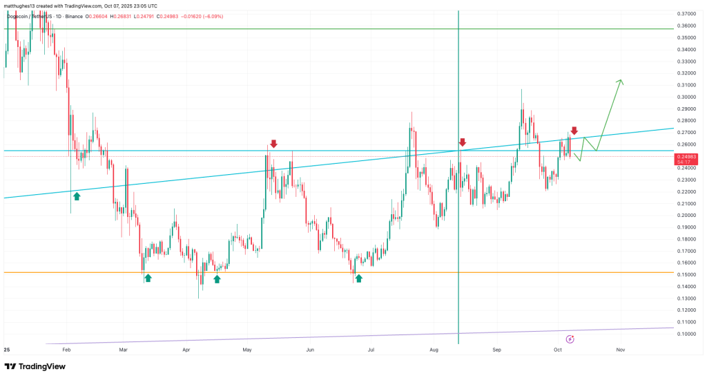 dogecoin fiyat grafiği