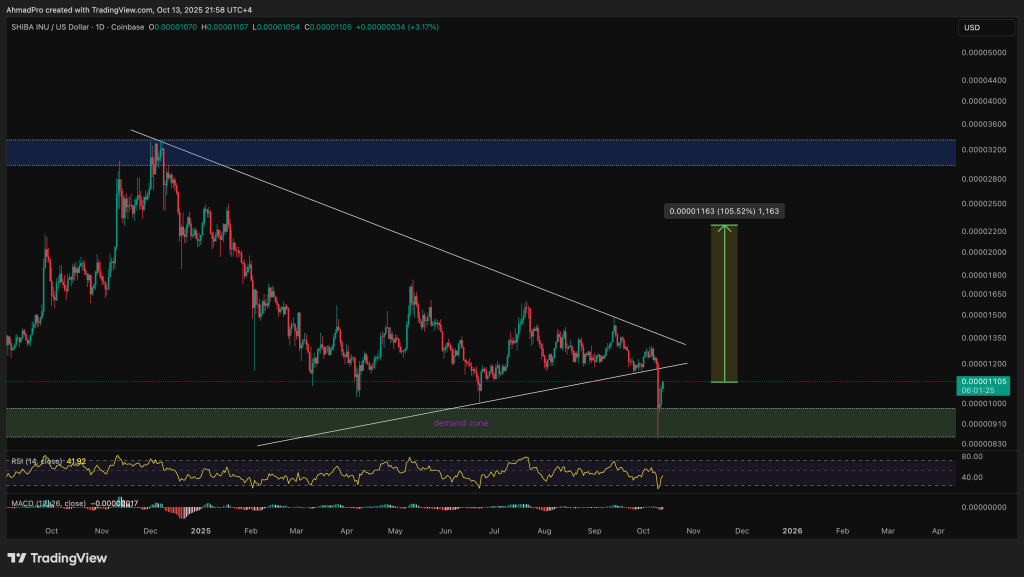 shiba inu fiyat grafiği
