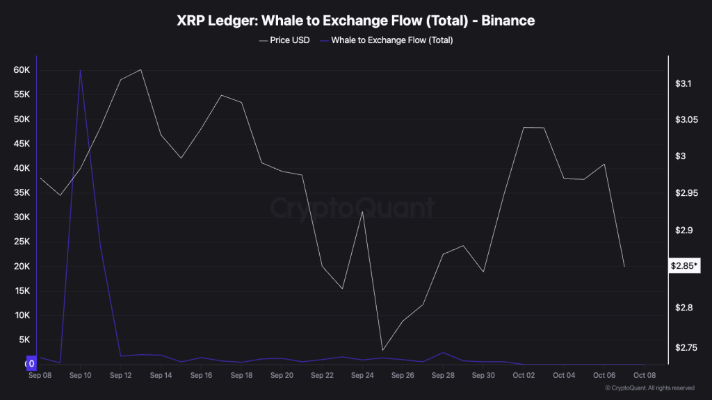 리플 고래 투자자 거래소 자금 이동 그래프
