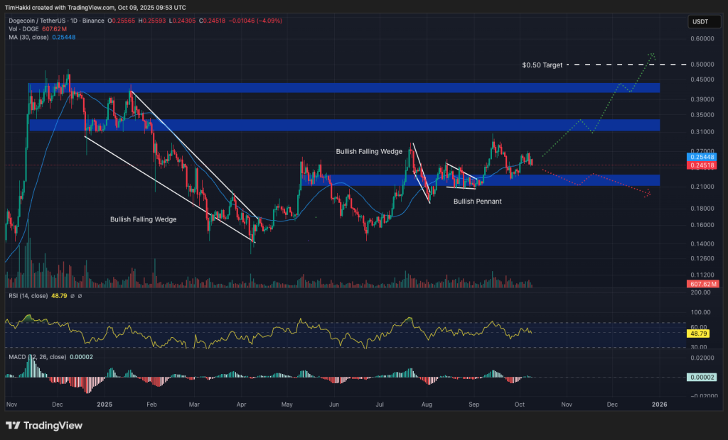 dogecoin fiyat grafiği