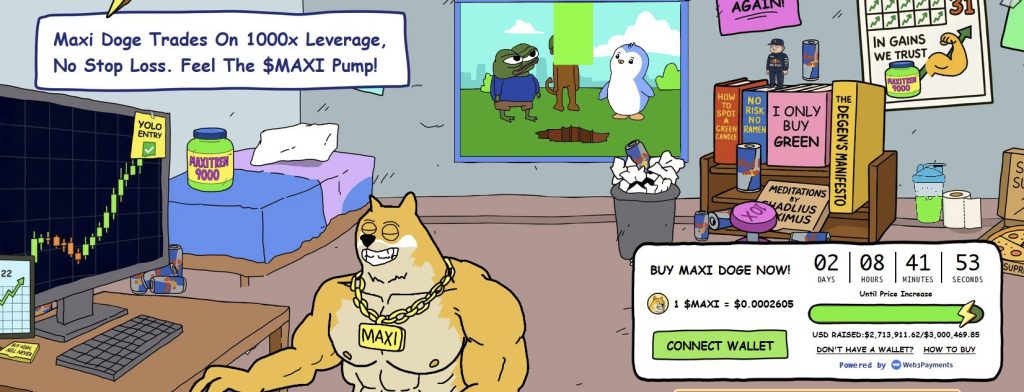 الصفحة الرئيسية لموقع عملة ماكسي دوج وتظهر فيه أداة الاكتتاب