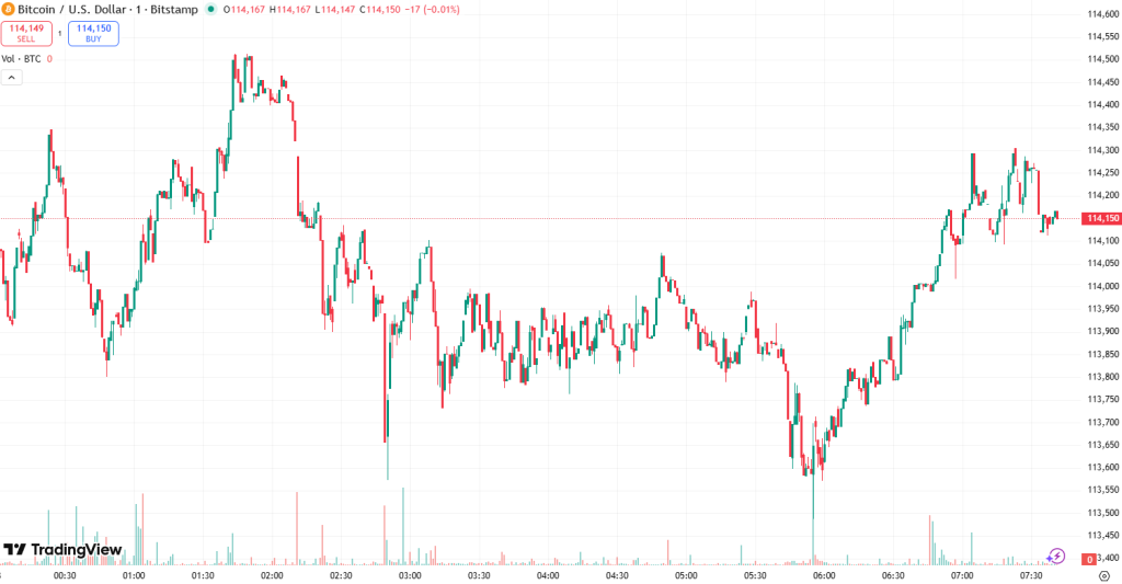 트레이딩뷰 비트코인 가격 차트