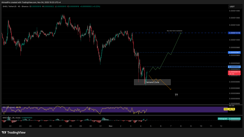 Shiba Inu fiyat grafiği