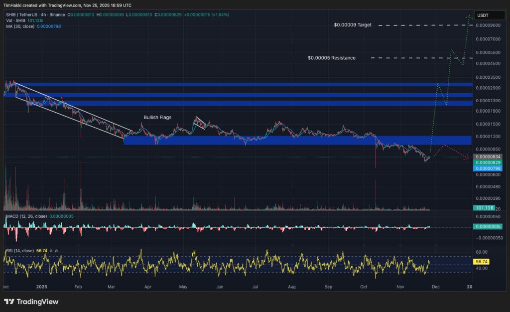 shiba inu kurssikaavio