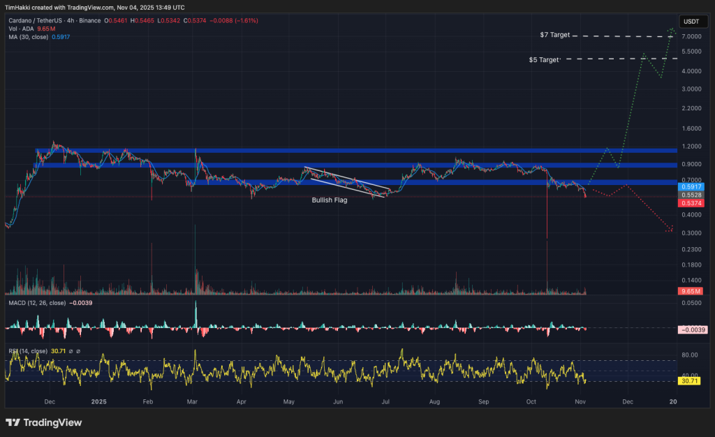 cardano fiyat grafiği