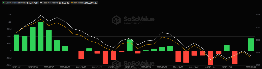 소소밸류, 비트코인 일일 유입량