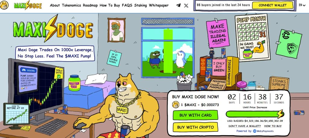 اكتتاب عملة ماكسي دوج (Maxi Doge) وأبرز بيانات المشروع