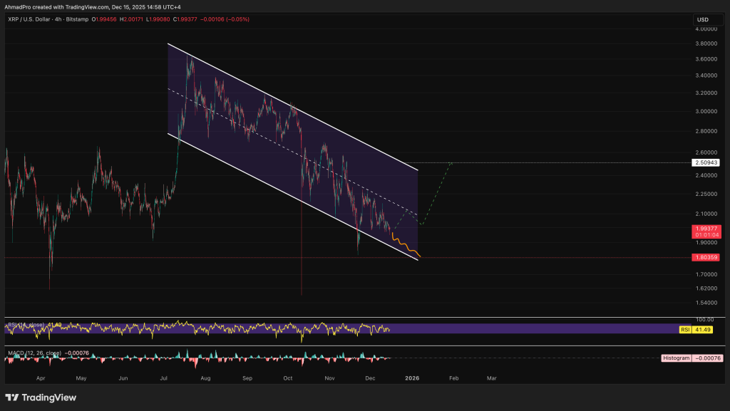 리플 차트 분석