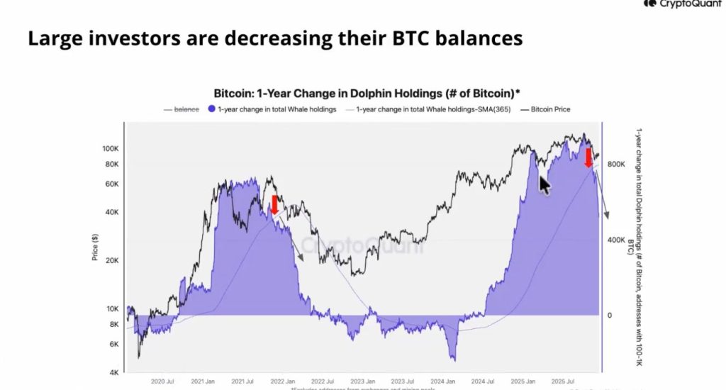 Bitcoin Bear Market - Large Investors Decreasing