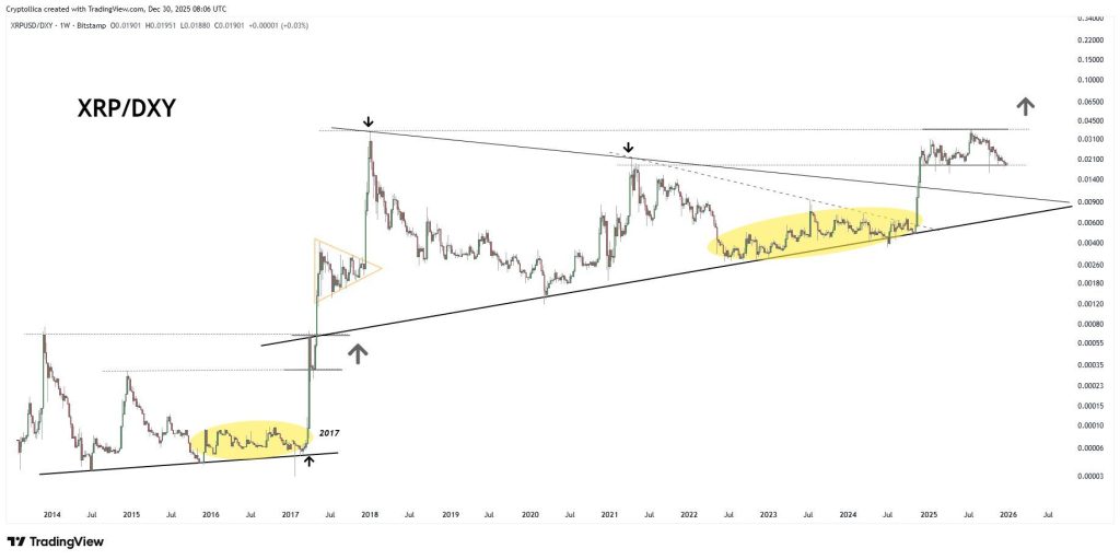 리플 차트 분석