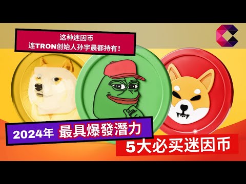 2024年最具爆发潜力5大迷因币Meme Coins