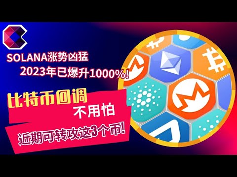 比特币回调不用怕　近期可转攻这3个币