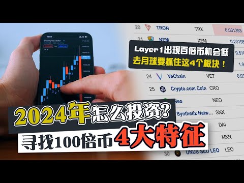 2024年怎麽投资？寻找百倍币4大特徵