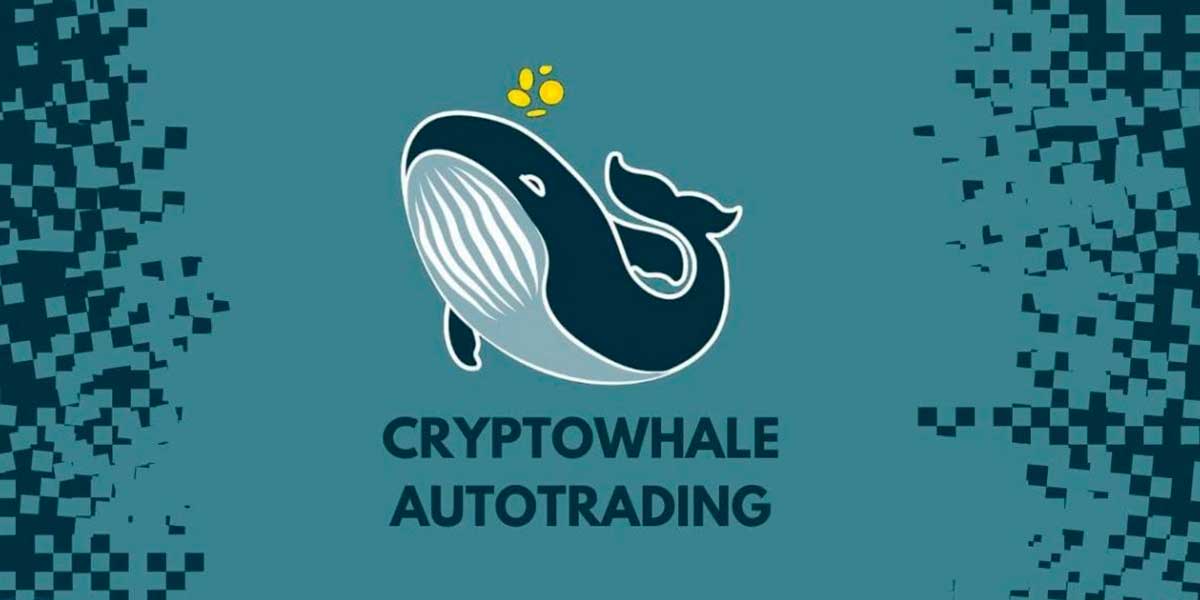Grupos telegram criptomonedas: Señales Crypto Whale