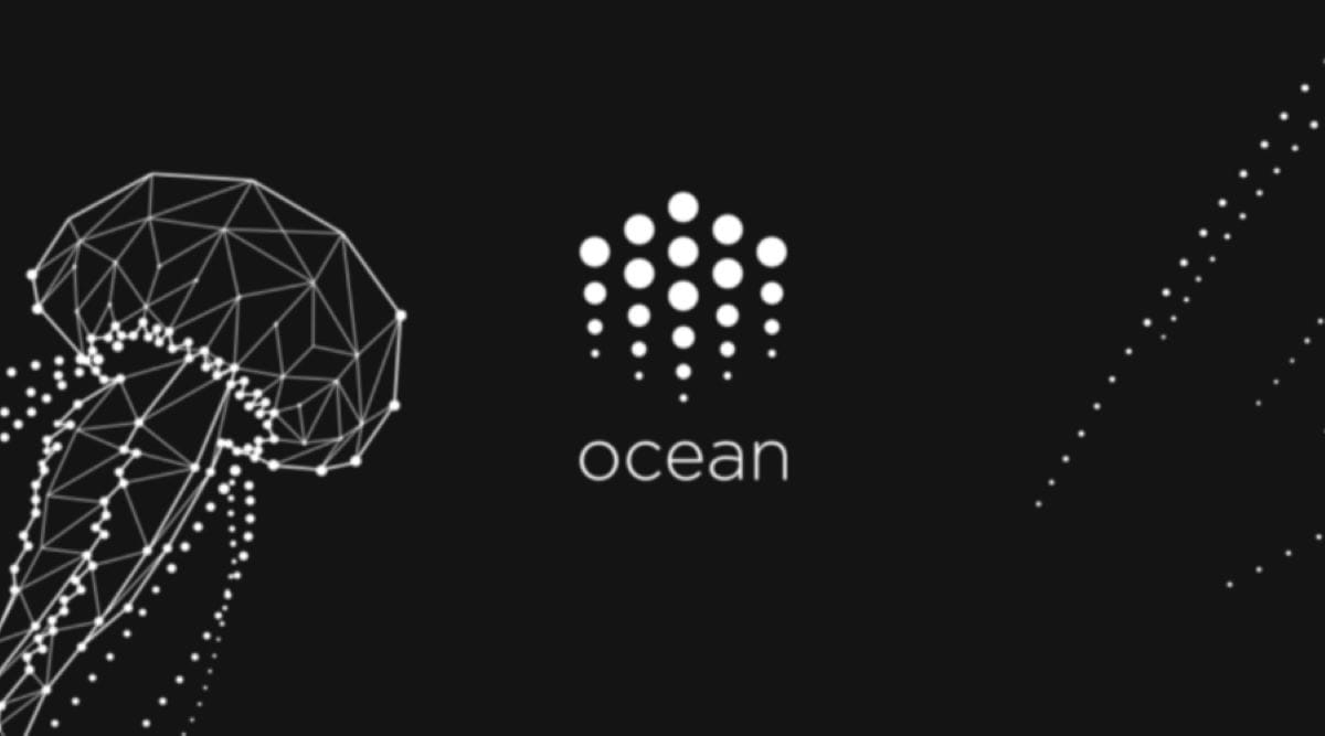Ocean protocol